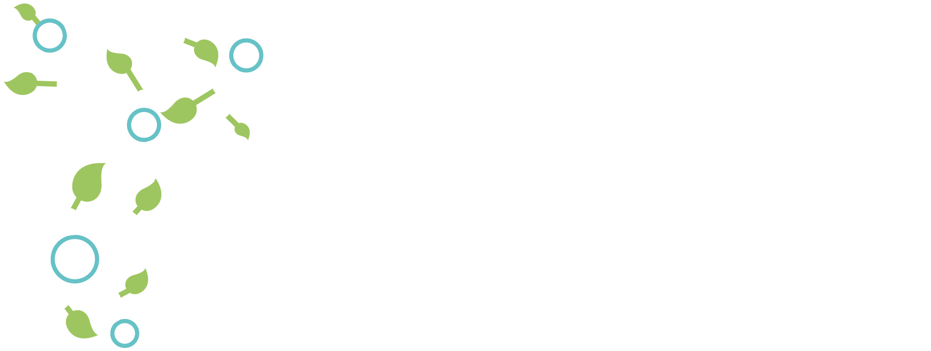 Eesti Teadushuvihariduse Liit